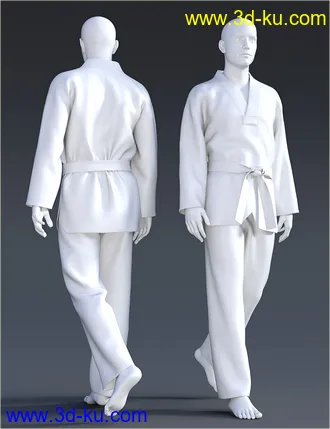 3D打印模型dForce H&C Taekwondo Suit for Genesis 8 Male(s)的图片