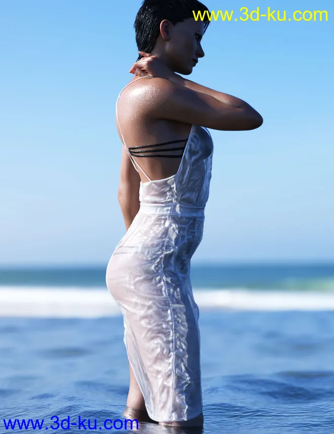 dForce HD Wet and Dry Classic Dress for Genesis 8 Female(s)模型的图片3