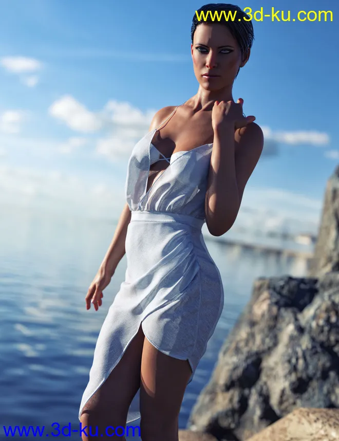 dForce HD Wet and Dry Classic Dress for Genesis 8 Female(s)模型的图片4