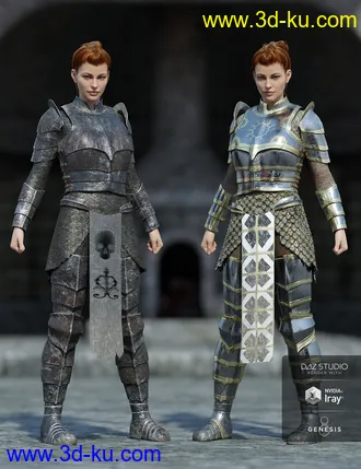 3D打印模型dForce High Paladin Textures的图片