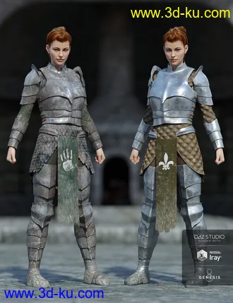 3D打印模型dForce High Paladin Textures的图片