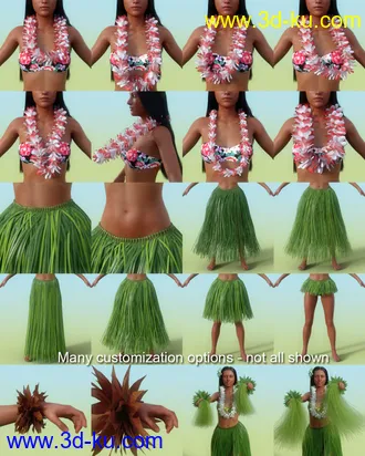 3D打印模型dForce Hula Outfit and Pose Set for Genesis 8 Female(s)的图片