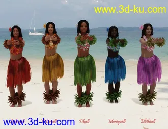 3D打印模型dForce Hula Outfit and Pose Set for Genesis 8 Female(s)的图片