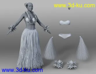 3D打印模型dForce Hula Outfit and Pose Set for Genesis 8 Female(s)的图片