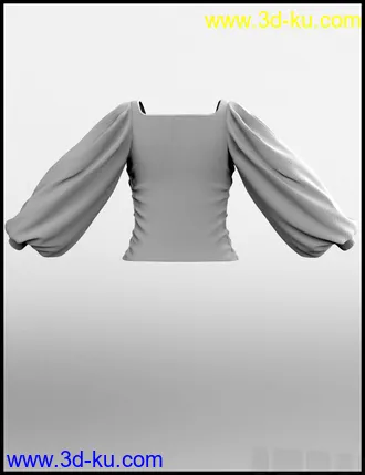 3D打印模型dForce Luxe Shirt for Genesis 8 Female(s)的图片