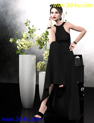 3D打印模型dForce Minimalist Summer Outfit for Genesis 8 Female(s)的图片