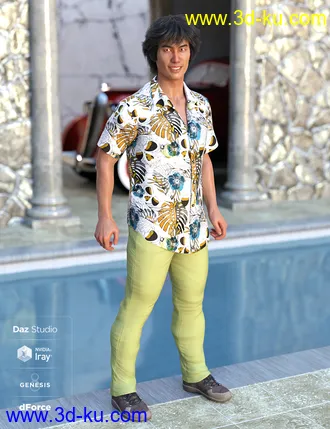 3D打印模型dForce Party Oahu Outfit Textures的图片