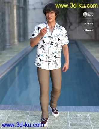 3D打印模型dForce Party Oahu Outfit Textures的图片