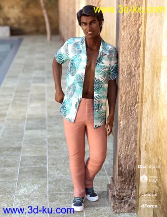 3D打印模型dForce Party Oahu Outfit Textures的图片
