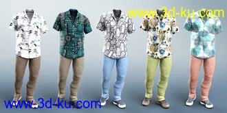 3D打印模型dForce Party Oahu Outfit Textures的图片