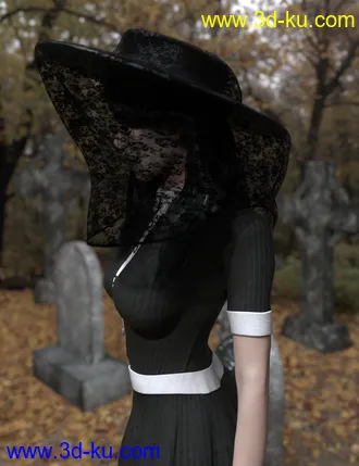 3D打印模型dForce Playful Witchy Outfit for Genesis 8 Female(s)的图片