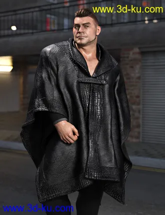 3D打印模型dForce Real Fur Poncho for Genesis 8的图片
