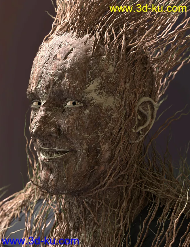 dForce Thicket for Genesis 8 Male模型的图片6