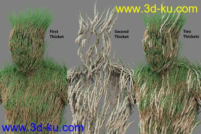 dForce Thicket for Genesis 8 Male模型的图片11
