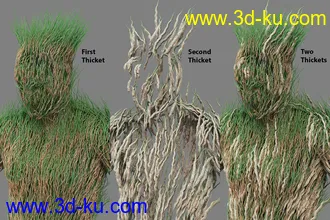 3D打印模型dForce Thicket for Genesis 8 Male的图片
