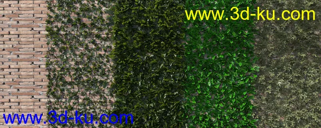 dForce Thicket Shapes模型的图片2