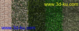 3D打印模型dForce Thicket Shapes的图片