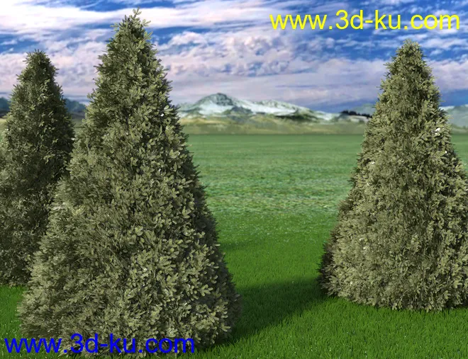 dForce Thicket Shapes模型的图片6