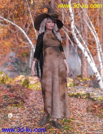 3D打印模型dForce Toad Witch Outfit Textures的图片
