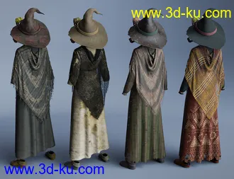 3D打印模型dForce Toad Witch Outfit Textures的图片