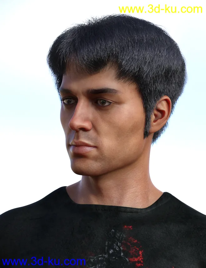 dForce Trendy Overdue Hair and Beard for Genesis 8 Male(s)模型的图片3