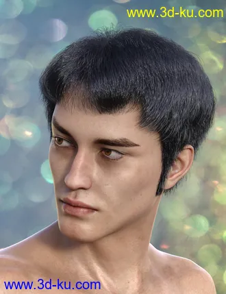 3D打印模型dForce Trendy Overdue Hair and Beard for Genesis 8 Male(s)的图片