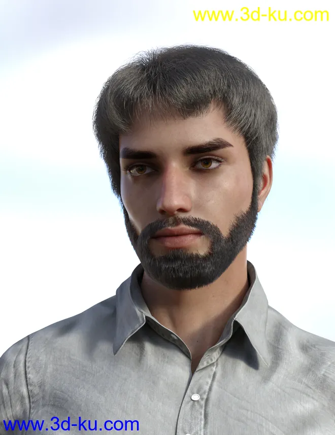 dForce Trendy Overdue Hair and Beard for Genesis 8 Male(s)模型的图片7