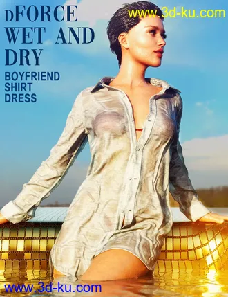 3D打印模型dForce Wet and Dry Boyfriend Shirt Dress for Genesis 8 Female(s)的图片