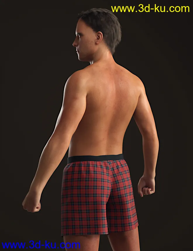 Dion for Genesis 8 Male模型的图片4