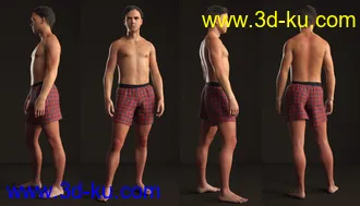 3D打印模型Dion for Genesis 8 Male的图片