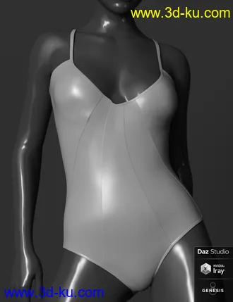 3D打印模型Dixie Swimwear for Genesis 8 Female(s)的图片