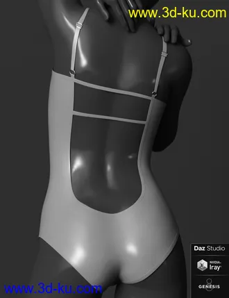 3D打印模型Dixie Swimwear for Genesis 8 Female(s)的图片