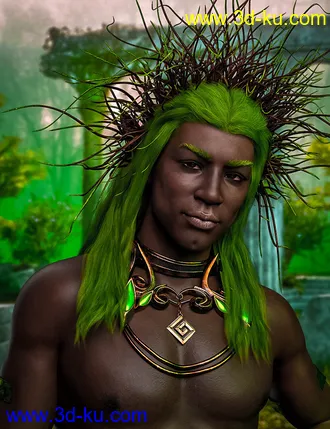 3D打印模型Drannor For Leroy 8的图片