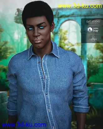 3D打印模型Drannor For Leroy 8的图片