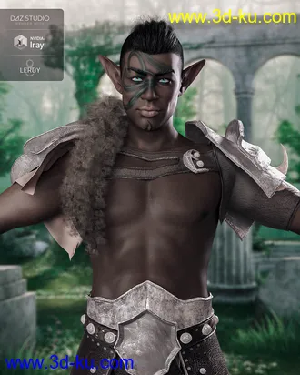 3D打印模型Drannor For Leroy 8的图片