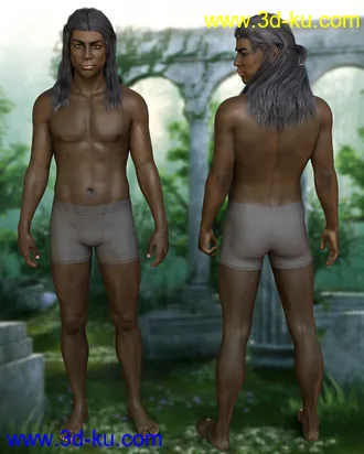 3D打印模型Drannor For Leroy 8的图片