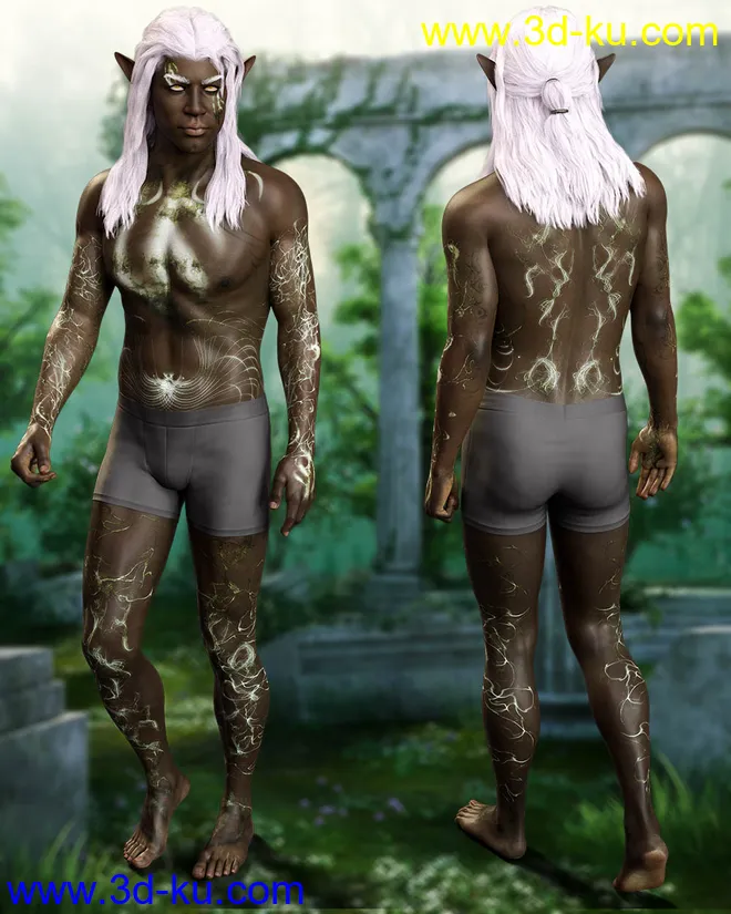 Drannor For Leroy 8模型的图片14