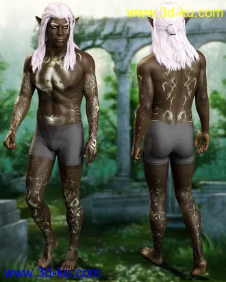 3D打印模型Drannor For Leroy 8的图片