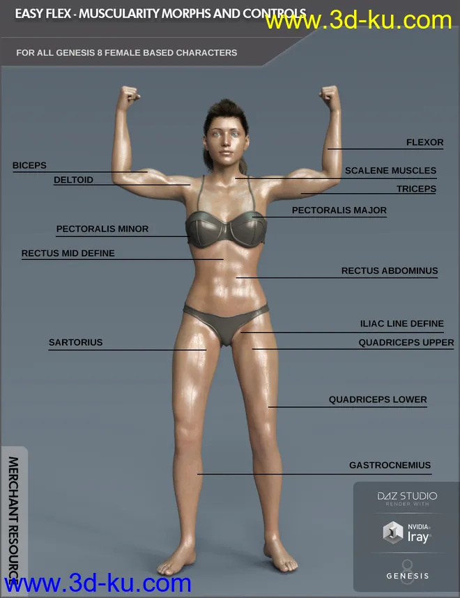 Easy Flex - Muscularity Morphs for Genesis 8 Female and Merchant Resource模型的图片1