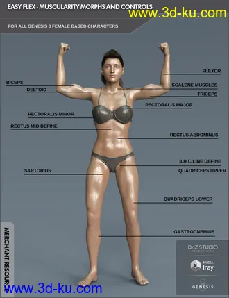 3D打印模型Easy Flex - Muscularity Morphs for Genesis 8 Female and Merchant Resource的图片