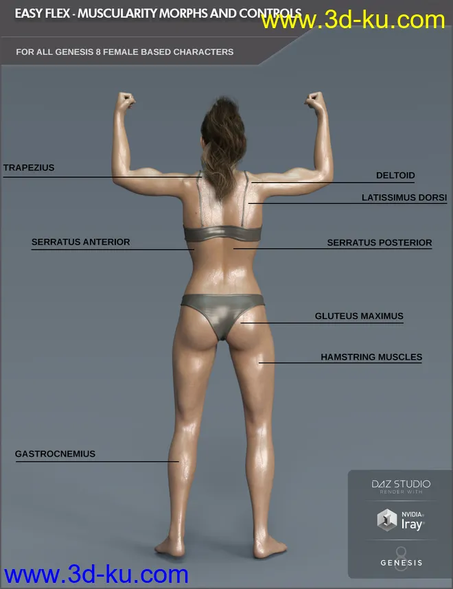 Easy Flex - Muscularity Morphs for Genesis 8 Female and Merchant Resource模型的图片2