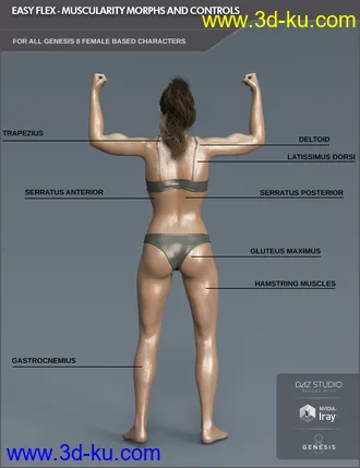3D打印模型Easy Flex - Muscularity Morphs for Genesis 8 Female and Merchant Resource的图片