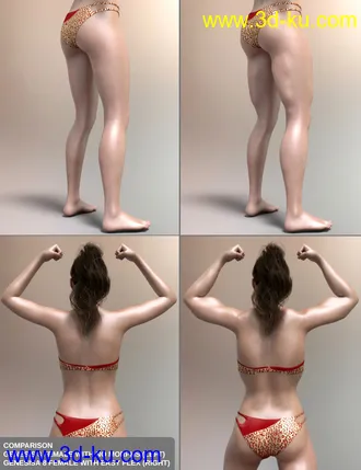 3D打印模型Easy Flex - Muscularity Morphs for Genesis 8 Female and Merchant Resource的图片