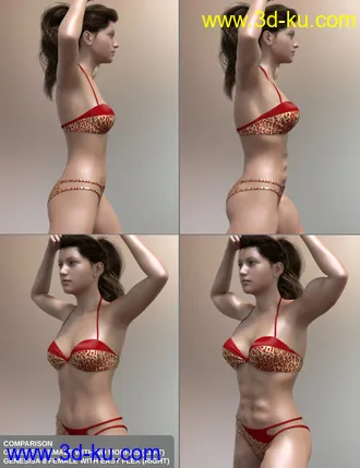 3D打印模型Easy Flex - Muscularity Morphs for Genesis 8 Female and Merchant Resource的图片