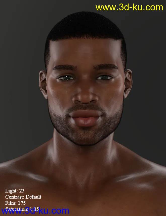 Easy Portraits - Light Presets模型的图片6