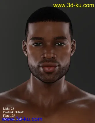 3D打印模型Easy Portraits - Light Presets的图片