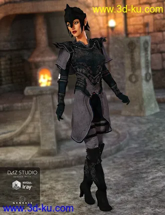 3D打印模型Elven Knight Armor Female Textures的图片