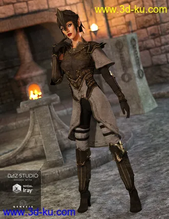 3D打印模型Elven Knight Armor Female Textures的图片
