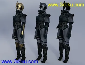 3D打印模型Elven Knight Armor Female Textures的图片