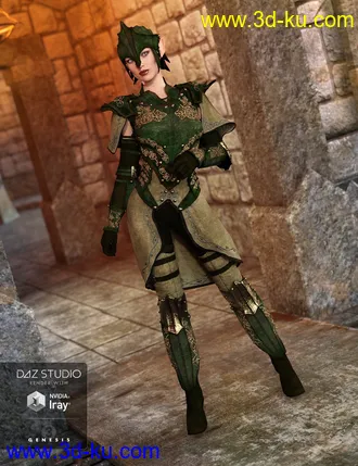 3D打印模型Elven Knight Armor for Genesis 3 Female(s)的图片